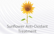 Sunflower Anti-Oxidant Treatment
